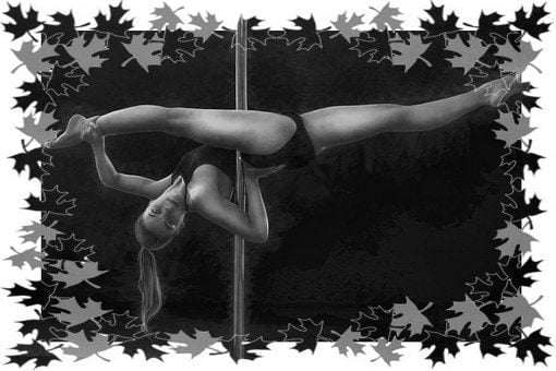 Pole Dancing Tuition Step by Step Guide Fitness DVD - Image 2