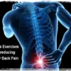 Pilates Lower Back Chronic Mild Back Pain Fitness DVD - Image 4