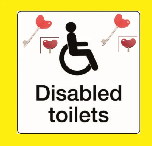 Disabled Toilet Key Easy Turn Version Excellent Item - Image 6