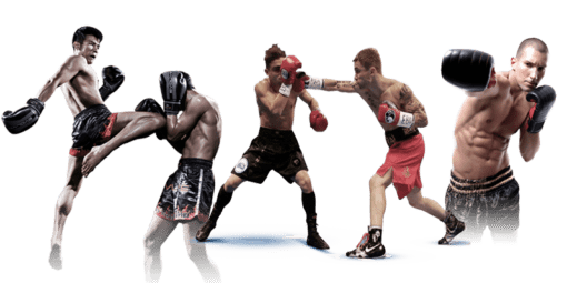 Kick Boxing Execise Program Fitness and Fitness DVD - Image 2
