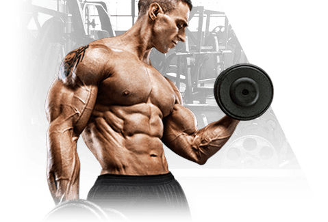 Bodybuilding Training, Nutrition and Fitness Guide – 2-DVD Set - Image 2