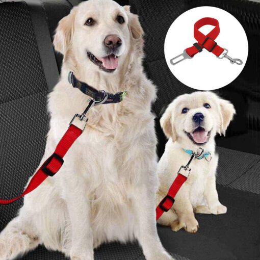 Dog Lead Car Seat Pet Safety Belt Constraints For Dogs Nylon Bungee Traveling - Image 4