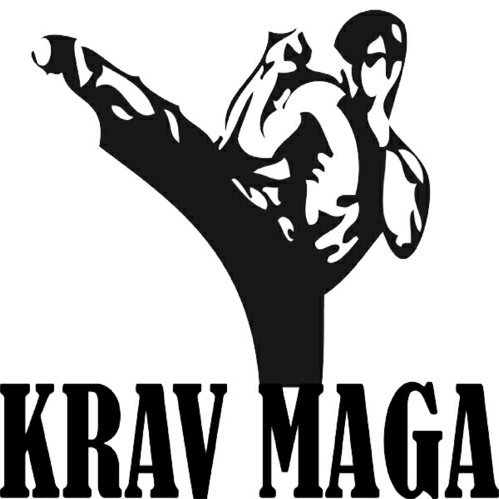 Krav Maga - Combat Video Training Self Defense Martial Arts Course On ...