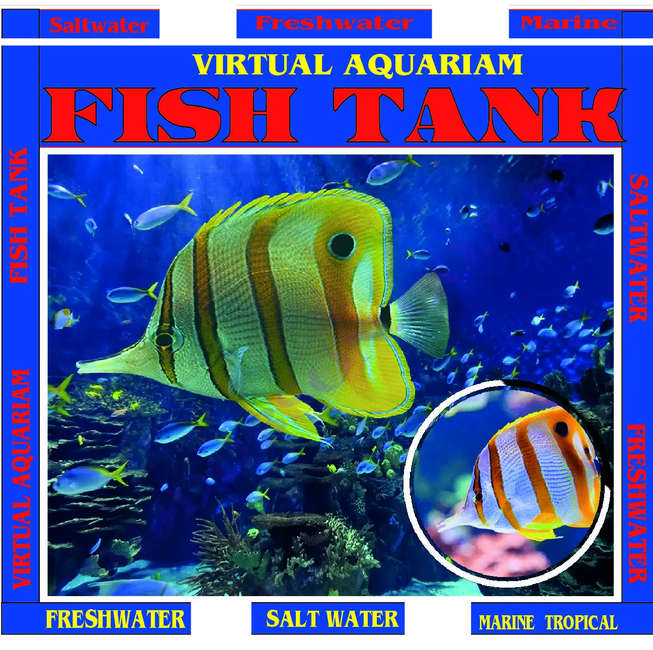 Aquarium DVD - Aquariums Of The World With 12 Fish Tanks In HD